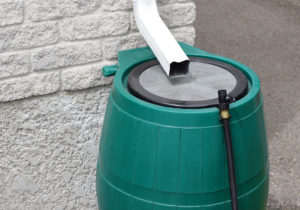 Rainwater Harvesting Near Me