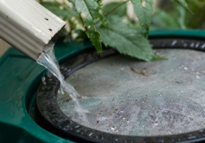 Water flowing into rain barrel