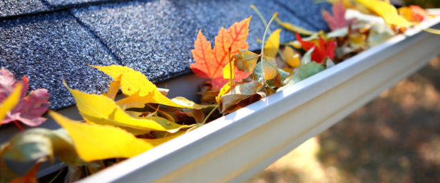 leaf guard for gutters