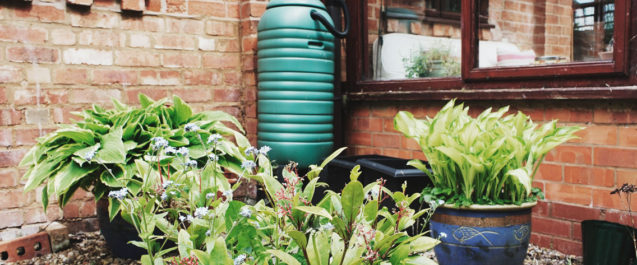 small rain barrel