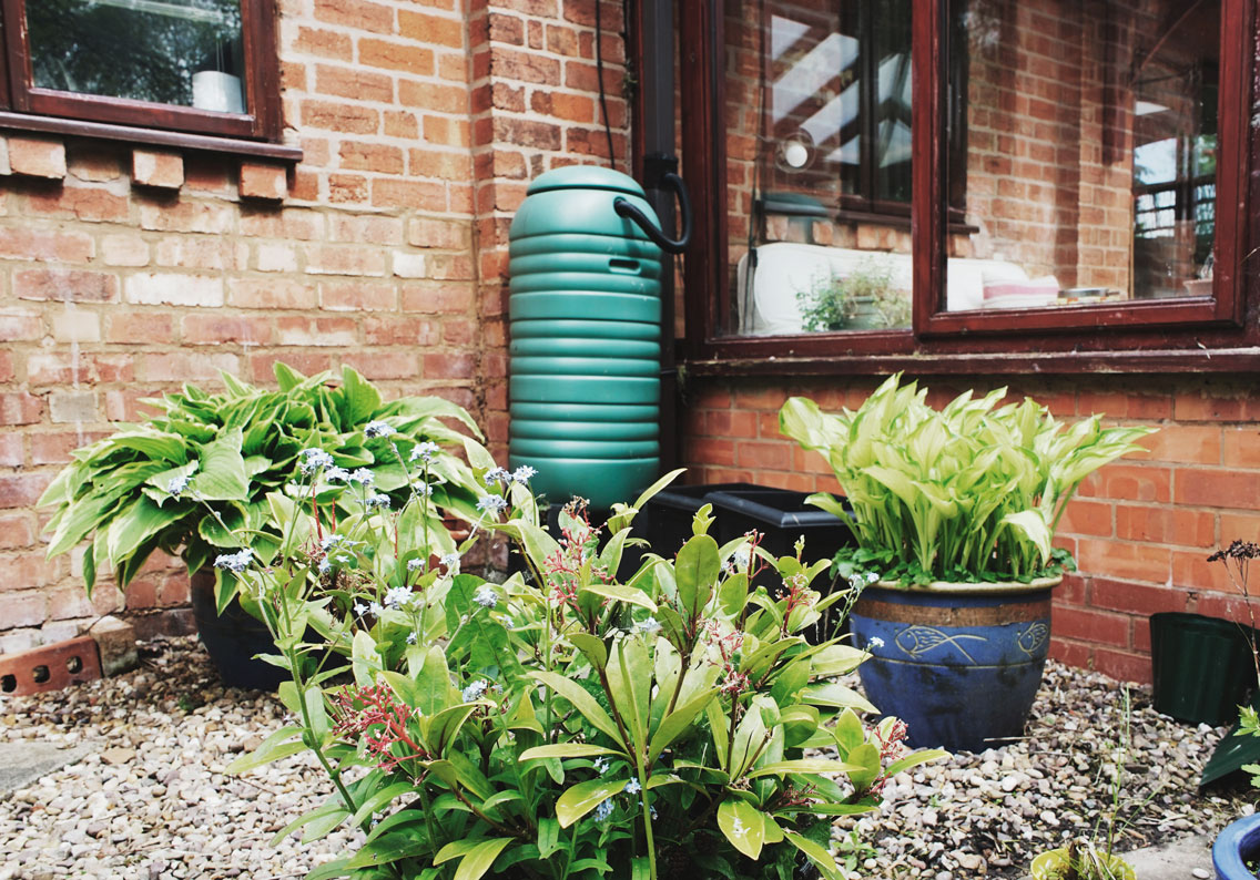 small rain barrel